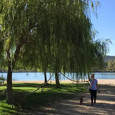 Fabry Riva פלוצ'ה