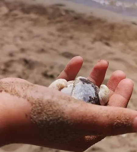 Fabry Riva * Ploce (Dubrovnik-Neretva)